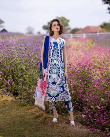 Mushq Hemline D2B blue morpho