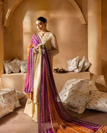 Nureh chiffon mukeshkari MK-02