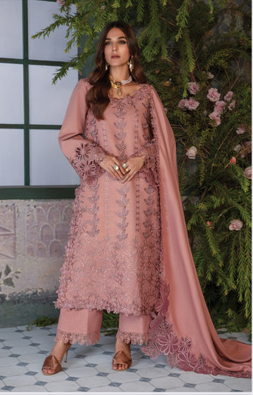 Rangrasia premium winter collection  chai